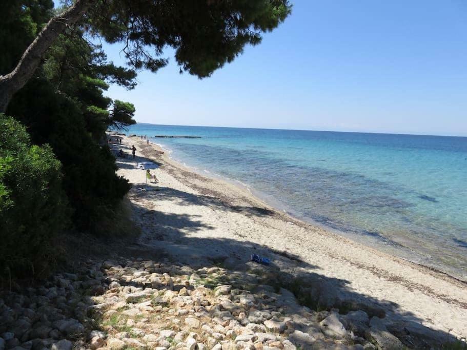 Seaside Beach House سيفيري المظهر الخارجي الصورة