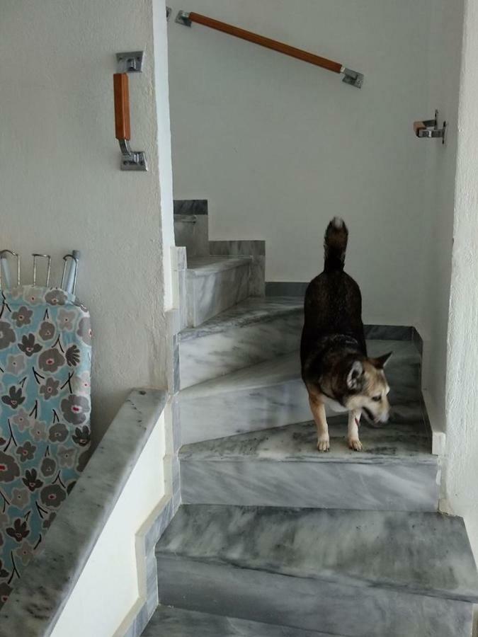 Seaside Beach House سيفيري المظهر الخارجي الصورة