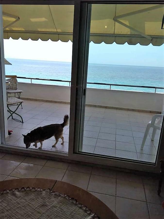 Seaside Beach House سيفيري المظهر الخارجي الصورة